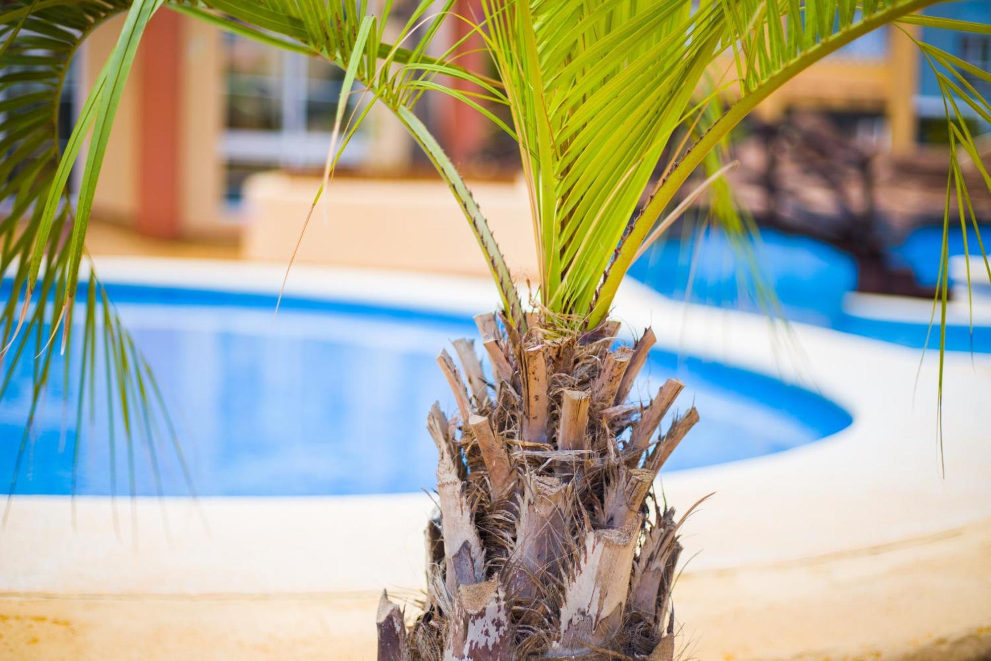 Apartamento Turistico Verdemar 2 ลามังกา เดล มาร์เมนอร์ ภายนอก รูปภาพ